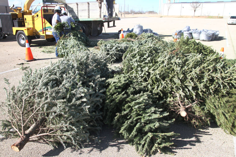 Christmas Tree Recycling
